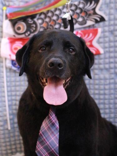 20230509こてつくん